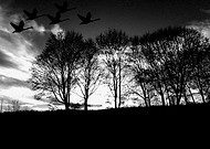 2019-03-30/9ac18c6337b0c344803503c798d9c482_5a086a2cc7ab6453343027b0f607a84b