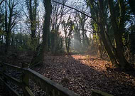 2019-03-30/b7adf8e50e357547f8e80c4172d685d8_cd7ebb9cad1b5ded549e836afcf3cc18