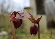 2019-03-31/9902528a72e4b721db270c1e3bb372b6_cea0dd93c199eead08ac0d08eb3bcb19