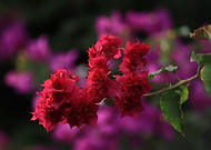 2019-03-31/c93ddab7868ca2b0ba0c52eb89e8b8e3_42d6fa15bb36b777efd0ae311c0f520f