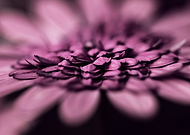 2019-03-31/de22afc2244630cf5703eb6c1532ef23_484c94c277426be297abc486f64fe087