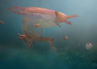 2019-03-31/fc93b6b8391a0b05c069cf2e6cf82b28_5af4f33e9e983c800d2ad7e4af5d0c51