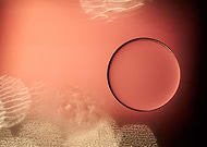 2019-04-01/5b0b270e12624f38e8d05f9585de01a0_d54182b4b938e0670dd613a2c0cc50fe