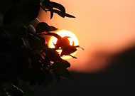 2019-04-01/9a6de1b9c4d962ce076edc26b3badee2_d1ea76f11a3cc00ad5ebb4ecc8dee621