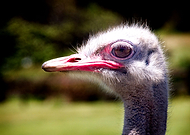 2019-04-01/cca47e8d74ad018dab6d376e4846ee0c_ff69fe34e71e2e347ca4905a84039397