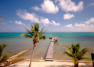 2019-04-01/f9f4ddbd9927b463a608fc72b0074c0a_a01b52ed1cecd781646e13a2b980be2b