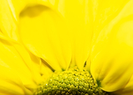 2019-04-02/3658e88dda473e18bde79950f6ad8adc_7d6af0b8df8aff96b44cafb15f931389