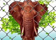 2019-04-02/bbc0a1a8b36e32cd5f77ccf68afea9ba_ae63c3d04ce40b6963feed582e7f5faf