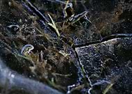 2019-04-02/bf3f7f8e87d657ccde1bae0dfbf2309f_2255ce2636645533aa2365970b1e40ab