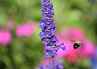 2019-04-02/cb996fd977afda850d989f72cf9081cf_85eaddba9d7aa22e18b1c19dc84da773