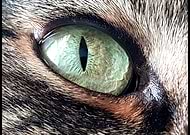 2019-04-02/d33cc22319ec8f4ee37739081823e9b3_021d8a333dd913f027762c69233504c0