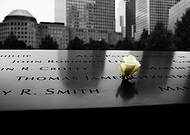 2019-04-03/038ef3945ee209887e480f74c6e67bce_3550b86c16704977993dcddbcbb61394