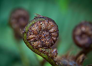 2019-04-03/0dd41af5c6e513ea01da3bd282318de3_972262c7c5e4542857a0661f467a85c4