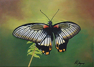 2019-04-03/6656bdcd4ac068e819eefd08fb03f564_1c6ba9418a0c86383382e867cd2ac152