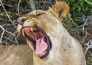 2019-04-05/50443baccc519f730cf588d99b05d86c_e63ca612c428850488155c587ffbabb0