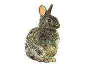 2019-04-06/3545d3621dc469366d6d6acf146960ac_768d561a1eda234e97f64e182ff75376