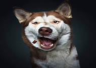 2019-04-06/46a5f68f6f4a597a9169f9c32b790c54_6a9a300ae3a5c71ae363a77acc49816b