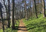 2019-04-07/ae1cd893a59b94734befc97a26b2931d_cc5287f65e3e556d774854aa4a303b4b