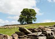 2019-04-08/06919d4d12d89cba95bb2519ecd1af23_6bd93f3167ca133abf27295ff2ce14b1