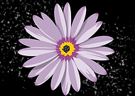 2019-04-08/184b9b317314ad6949c142bc2b527244_5e6076eade8df3216ecc6526259d416f