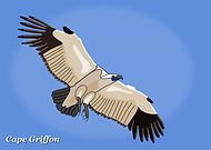 2019-04-08/859a6c1afea19349f4bd925ccc6aaa8d_3e1f5b03432a2de1e8df38c133c8c83a