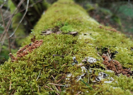 2019-04-08/92593a701a1dd9dde51c56cf55bf15ef_fa2509bbfd6507b902a97954498c448c