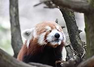 2019-04-08/dfc0f232ebb2f64c11262c9d09b57699_549d57d68621f00c9d683ecfb6a1fe66