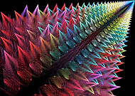 2019-04-09/43deef0893858cf182fb240fac17ace4_19f75bc0cba6d6e2aee2ba9d9498328c