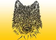 2019-04-09/941d26e4fa01337fb3d2e9b34de1e23f_700454e5e74e5303be64f3504df21601