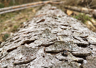 2019-04-09/f41893121aad1079616c5a08685a8f4f_ce7a680ef740c5182d4e5bc3b42d8211