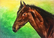 2019-04-09/f48ff83152a2e6b4f6ccf312e24d53be_866fca345bfa2aeb9976d3a25579bd44