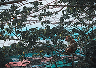 2019-04-10/4430d14ee4c031e1f06cbc05c5e435fd_7da9ea451d6eba3082e8a5fa910dd815