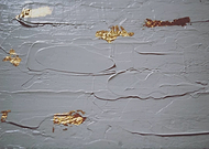 2019-04-10/5609b2f5c5c0d89a48c0f8f9b3963323_9c883cc18207620b72e2bb953454ea01