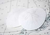 2019-04-10/5bc7d55e62b6cfc952cd54da48c2828e_2eaa6532fa48e6d71b8ff619a1c78307