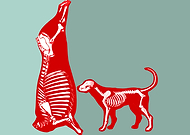 2019-04-10/898754de90531fc991cb995e1d021ca1_eecc35a0b3179d0747d2d2392987eb00