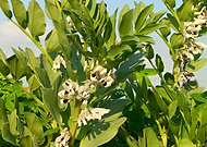 2019-04-10/a3e111b04d4381946aa68f287a135560_2c1fe0b644efd6518e72ab5020332a56