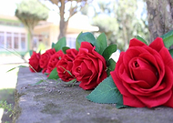 2019-04-13/06126843da6b20c2eb0ded37c96815cd_77184ab79ae3c4652b9274130a0bee80