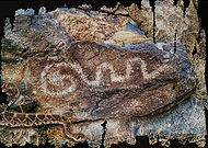 2019-04-13/27d31f5178c6dae40297a76bc5caab6a_da9661edc4aec5aaccc42f8d072e5e62