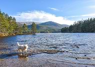 2019-04-13/ac84e287bc4be366acb009108c5e7c97_3ae780f56138ed7afb406a227baa03bb