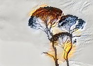 2019-04-14/29c6cd8e47dc6b0faf1c4d4ee08a600d_296ea3984b204d42fc092c3cf79f74eb