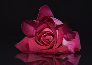 2019-04-14/34f697aa68ccab72c27fc0fc10c3c0ca_7a1b26dcaac146874e53cf64740c7d65