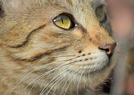 2019-04-14/5300d318585a9768500bf532b00f93d7_aff3174ff4f770e182dfad0ee495319c