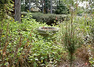 2019-04-14/6584b1a78f6964ba2f7dd745de9d5cfa_afef9a3203fecb7e6a8889c50419f647