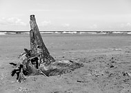 2019-04-14/6dec8604b46f6ea2c56b93169e9861bc_ec6abbb8b13f941d3d01601d4cabcb8f