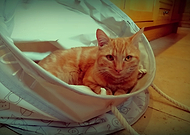 2019-04-14/b0997f8f999d1c97d669337ca38a95f9_248b09653c5e5894cb0c1995340e84be