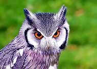 2019-04-14/b219e65ba6d39e02887ed0def40d5c82_f17e33f18d6d17b0324f7dd286226c62