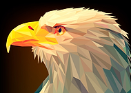 2019-04-14/ebaab113d5ceeafc56f47262a0fe40b7_05e1d1b4158f9e62d119cb2309efd746