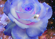 2019-04-15/082c05c7a2e0a152bd481a85bda800e8_27d597b57379b39e778406c682402e40