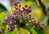 2019-04-15/2c3c034111e5ab616de5524e94d88695_cfd459e12936eb7a13b8a76f7b8aee48