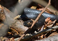 2019-04-15/5dc3a94744f25973863b7b6b21b12320_5ee6463835f2eb4eeb020c528b70736f